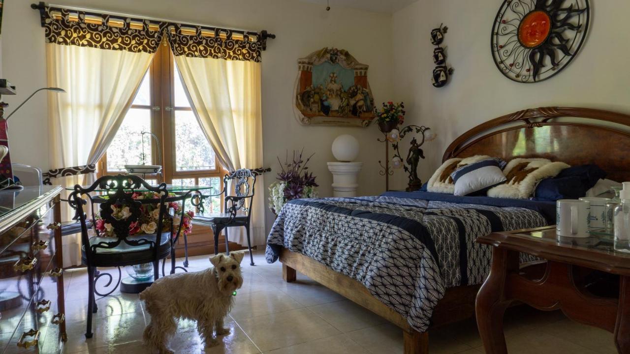 El Jardin Del Eden B&B Boutique Куернавака Екстериор снимка