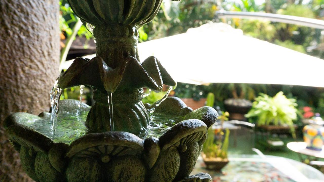 El Jardin Del Eden B&B Boutique Куернавака Екстериор снимка