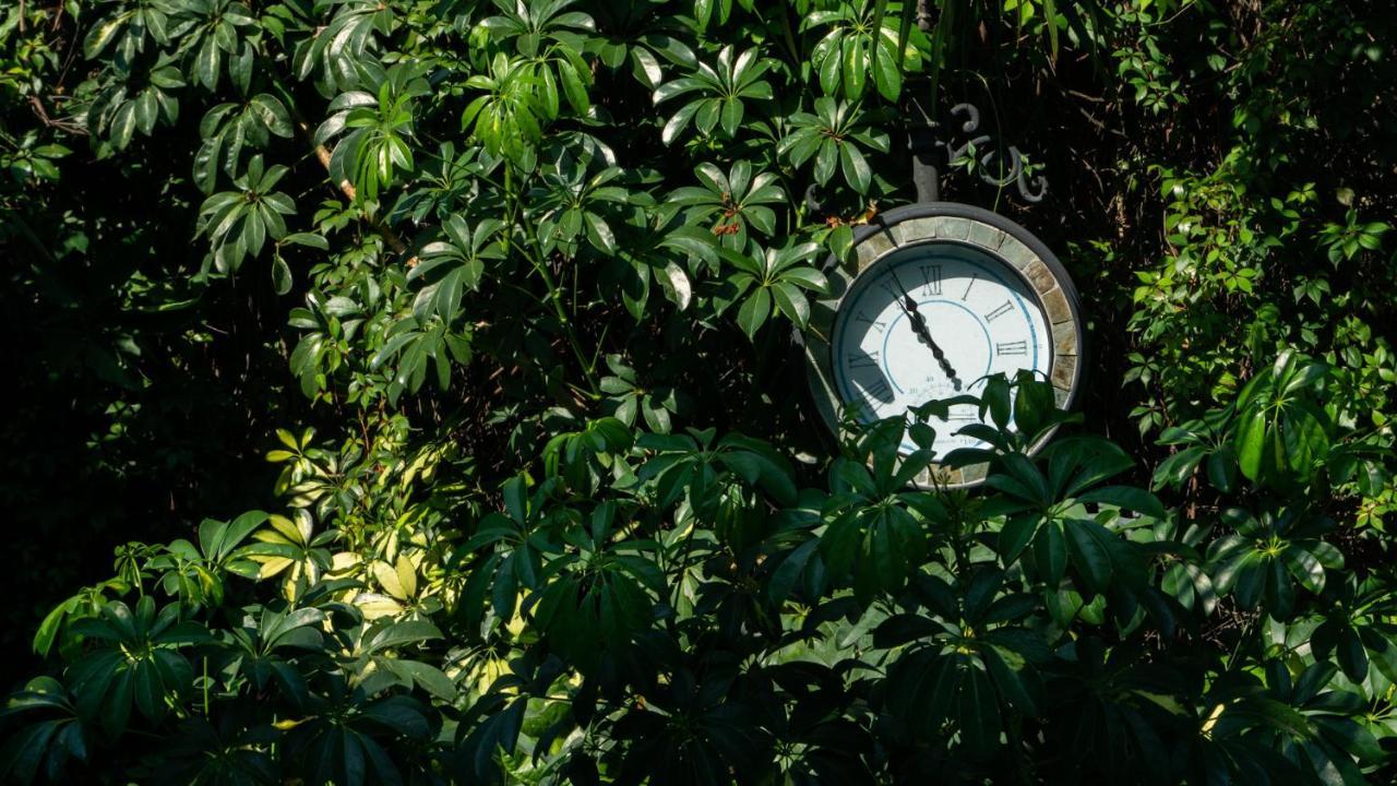 El Jardin Del Eden B&B Boutique Куернавака Екстериор снимка