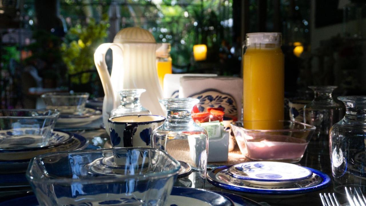 El Jardin Del Eden B&B Boutique Куернавака Екстериор снимка