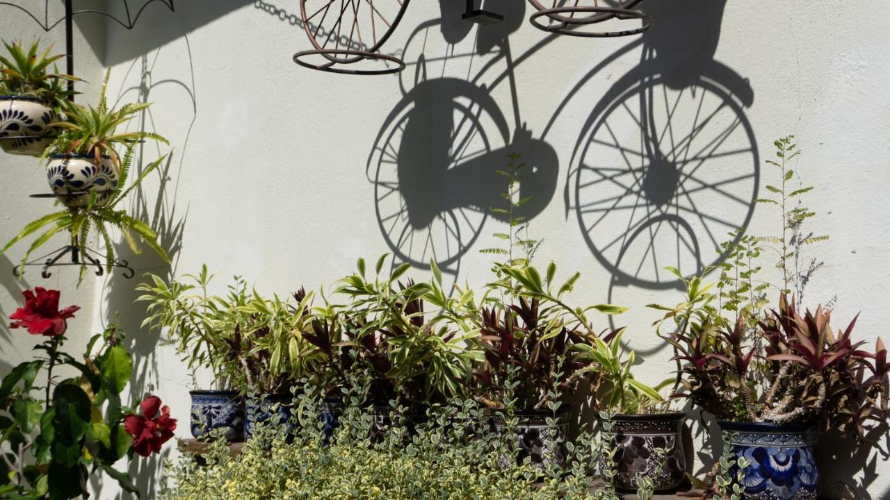 El Jardin Del Eden B&B Boutique Куернавака Екстериор снимка