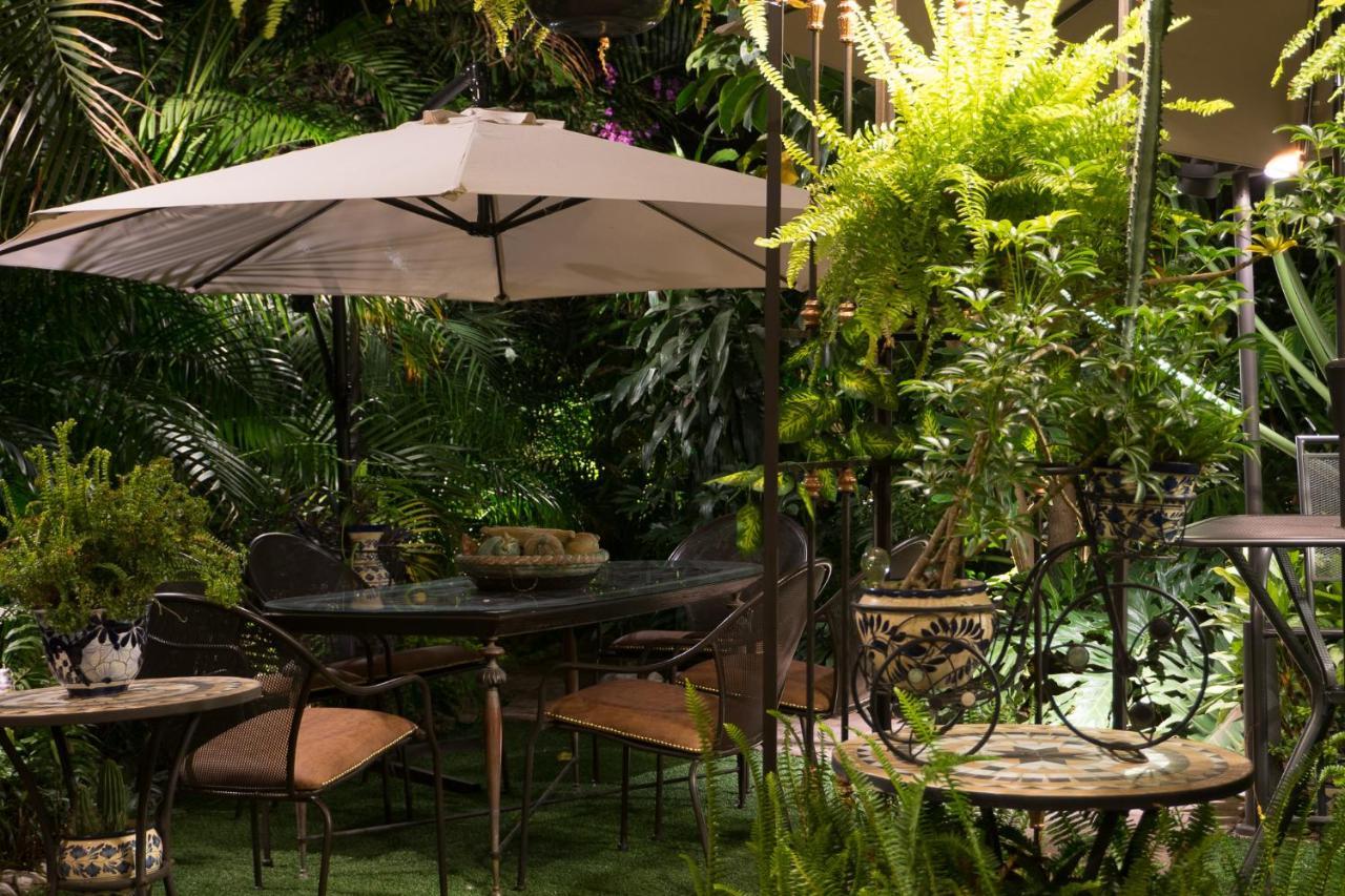 El Jardin Del Eden B&B Boutique Куернавака Екстериор снимка
